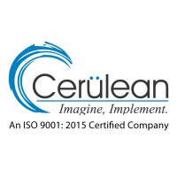 Cerulean Information Technology Private Limited logo - Similar company to Zype Digital