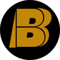 Bolt Belts | Leather Tool Belts logo - Similar company to Fap Italia  Srl  Private Label Belts Manufacturer ( Leather And Vegan Materials)
