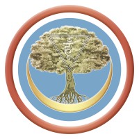 Santvam logo - Similar company to Partial.Ly