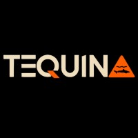 Tequina Wave logo - Similar company to Bicert