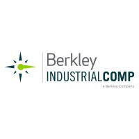 Berkley Industrial Comp (a Berkley Company) logo - Similar company to Berkley Alternative Markets Tech