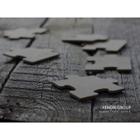 Xenon Group logo - Similar company to Brndsonly