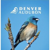 Denver Audubon logo - Similar company to Pelecanus Inc