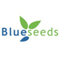 Blueseeds do Brasil