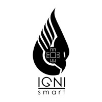 IGNI Smart logo - Similar company to Readys Network