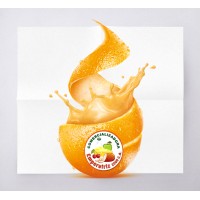 Pulpa de Fruta la Mejor logo - Similar company to Pollo Cool