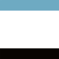 BIANCHIZARDIN logo - Similar company to Tech For Techs