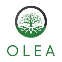 OLEAJOR logo - Similar company to A&M Business Solution
