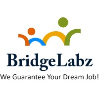 BridgeLabz logo - Similar company to Techhaven Solutions