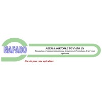 NAFASO logo - Similar company to Digitalcom Services