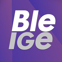 Bleige | Agencia de Marketing en Chile logo - Similar company to Triada Solutions