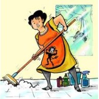 Die Skoonmaak Vrou/The Cleaning Lady logo - Similar company to Reliable Bolt (Pty) Ltd
