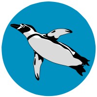 Blume Robotics logo - Similar company to Ciemin