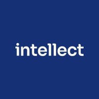 Intellect IT systems logo - Similar company to Intellect Information Technology