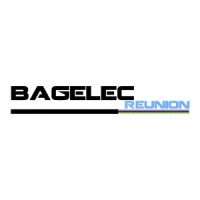 BAGELEC REUNION logo - Similar company to Alpha Energie