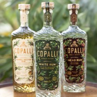 Copalli Rum logo - Similar company to Metis Holdings, Llc