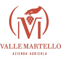 Valle Martello logo - Similar company to Fimp