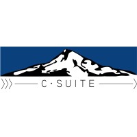 C Suite logo - Similar company to Treksoftware