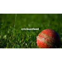 cricbuzzfeed logo - Similar company to Rr Overseas Mbd