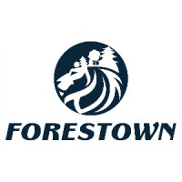 FORESTOWN International Group logo - Similar company to Cecapta