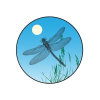 Dragonfly Farms logo - Similar company to Five Star Extracts