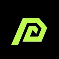 PARADIGM logo - Similar company to Vigyantram