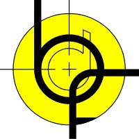 bdf surveys logo - Similar company to Scope Imaging Ltd