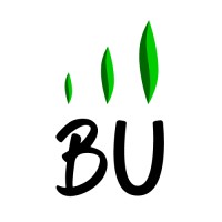 BU Happiness College logo - Similar company to Intellego Platform
