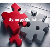 Synergy Statistics logo - Similar company to Chesed Electronics Ltd