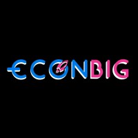 EconBig logo - Similar company to Kovix