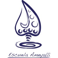 Escuela Ameyalli logo - Similar company to Fundación Mexicana De Lucha Contra La Depresión