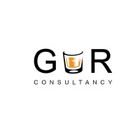 GUR Business Consultancy logo - Similar company to Security Game Changer Gmbh