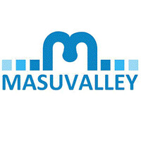 Masuvalley and Partners logo - Similar company to Nuthin
