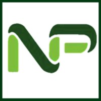 Netpay Zimbabwe logo - Similar company to Career Masterclass