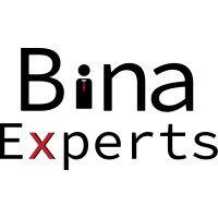 BinaExperts logo - Similar company to Sababyte
