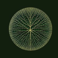 Earth Trust Fund logo - Similar company to Everyday Hero Project