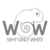 Why Only White logo - Similar company to Aurea Hub