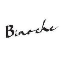 BINOCHE logo - Similar company to C-Interieur