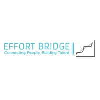 Effort Bridge Tech Solution logo - Similar company to Consultech Systems Pvt Ltd