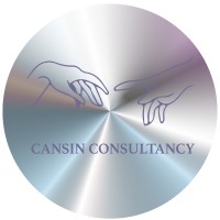 Cansin Consultancy logo - Similar company to Pally