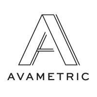 Avametric logo - Similar company to Ercim