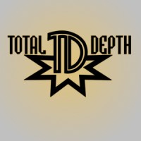 Total Depth Well Services logo - Similar company to Vision Well Services Llc