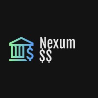 Nexum SS logo - Similar company to Fsai Solutions