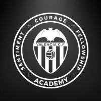 Valencia CF Camp SIM logo - Similar company to Valencia Cf Academy