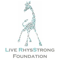 Live RhysStrong Foundation logo - Similar company to Novus Wealth Group