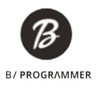 B Programmer logo - Similar company to Websoft