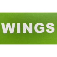 WINGS TRAVELS logo - Similar company to Wings Travels