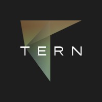 TERN logo - Similar company to Telepathic Technologies
