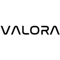 Valora Information Technologies and Consulting logo - Similar company to Atadata