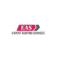 Expert Auditing Services logo - Similar company to Connsect